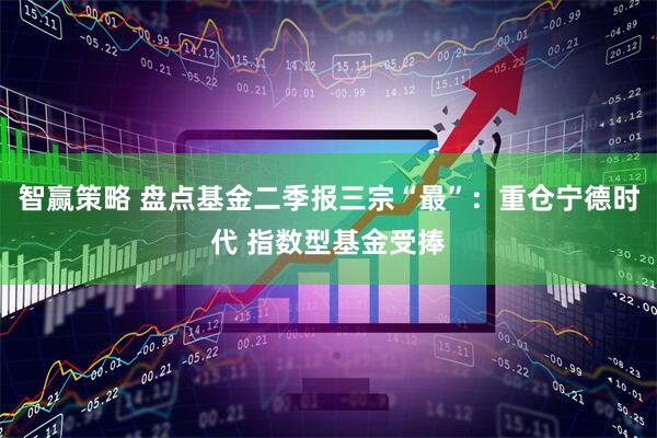 智赢策略 盘点基金二季报三宗“最”：重仓宁德时代 指数型基金受捧