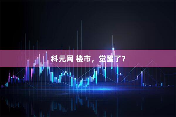 科元网 楼市，觉醒了？