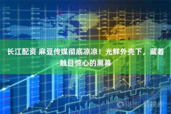 长江配资 麻豆传媒彻底凉凉!光鲜外壳下,藏着触目惊心的黑幕